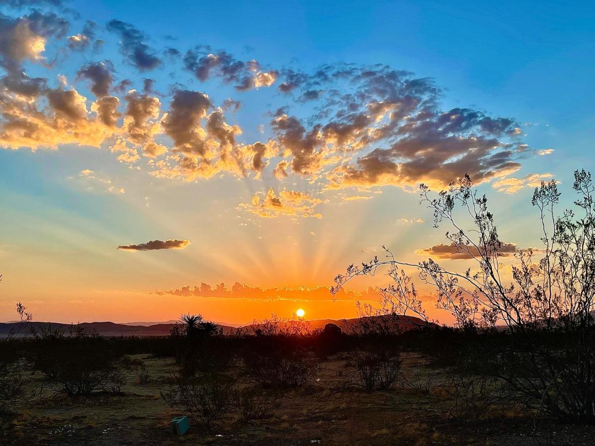 Popular Homestead! Location, Stargaze, Views! Joshua Tree Extérieur photo
