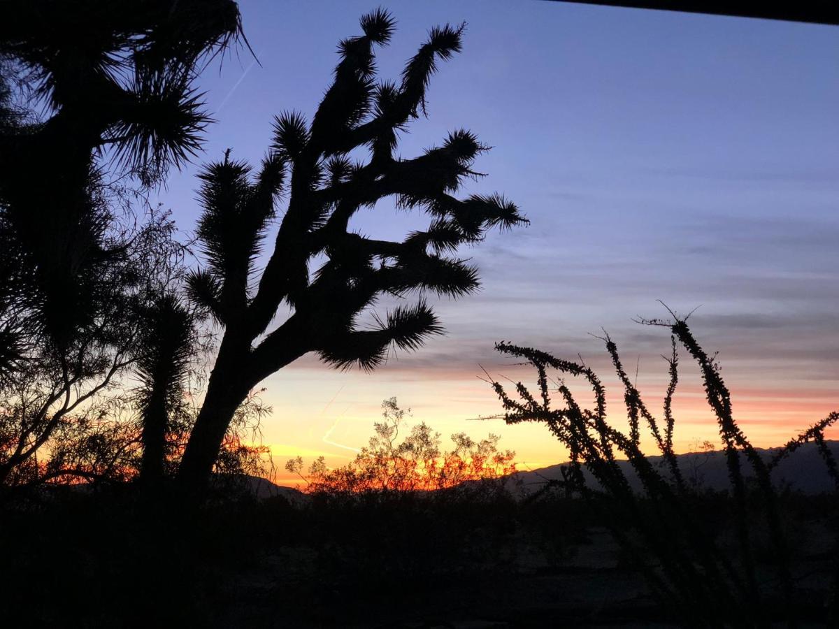 Popular Homestead! Location, Stargaze, Views! Joshua Tree Extérieur photo