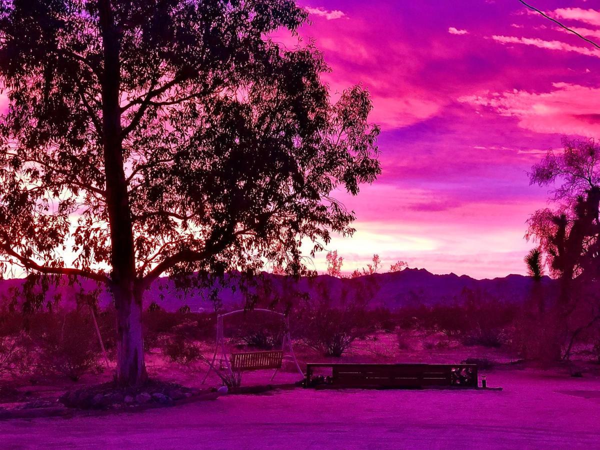 Popular Homestead! Location, Stargaze, Views! Joshua Tree Extérieur photo