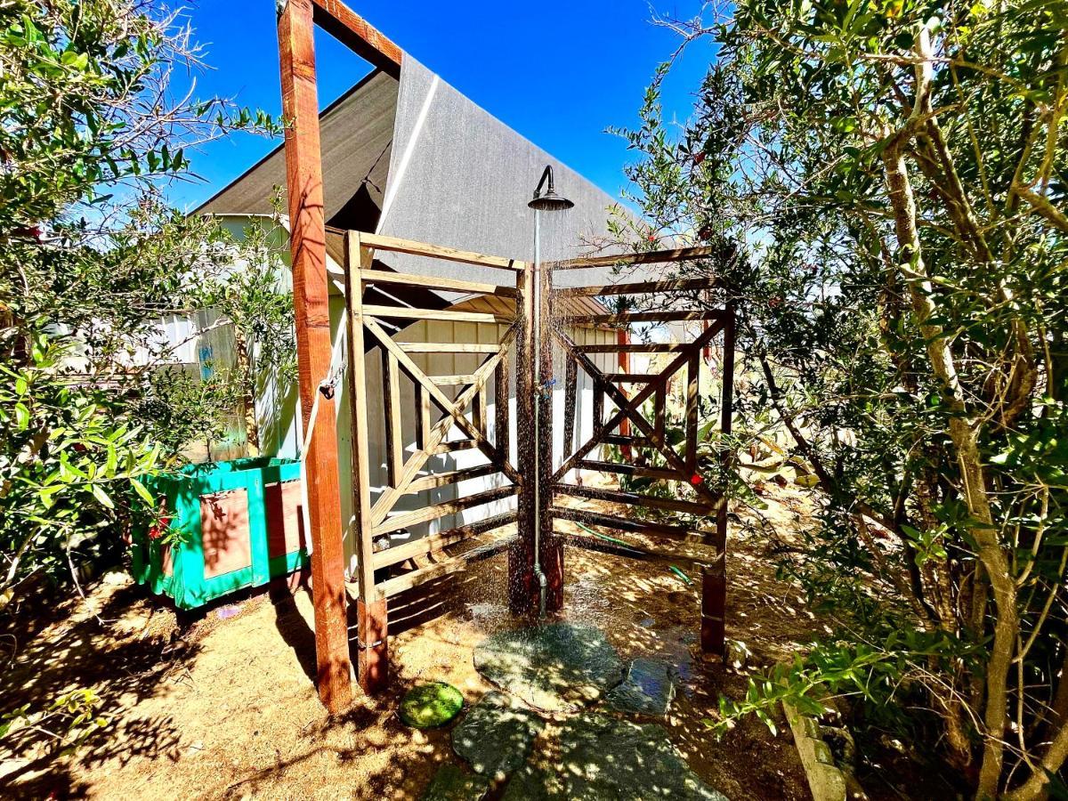 Popular Homestead! Location, Stargaze, Views! Joshua Tree Extérieur photo