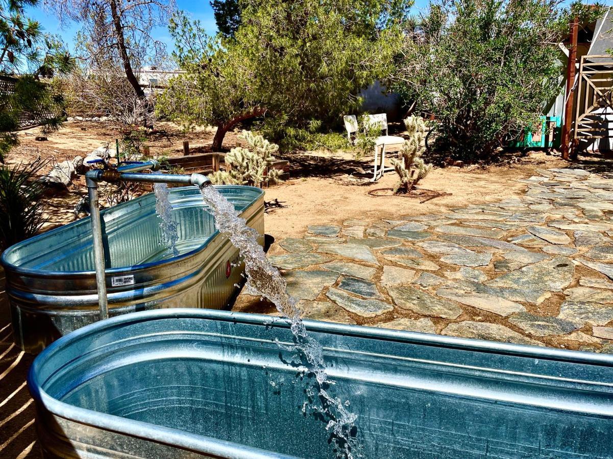 Popular Homestead! Location, Stargaze, Views! Joshua Tree Extérieur photo