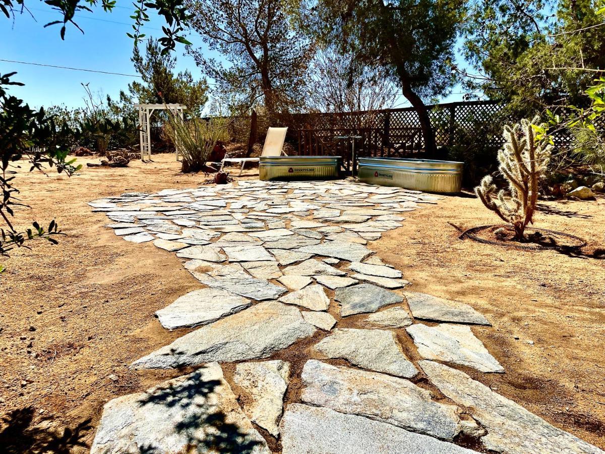 Popular Homestead! Location, Stargaze, Views! Joshua Tree Extérieur photo