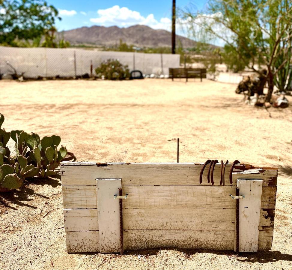 Popular Homestead! Location, Stargaze, Views! Joshua Tree Extérieur photo