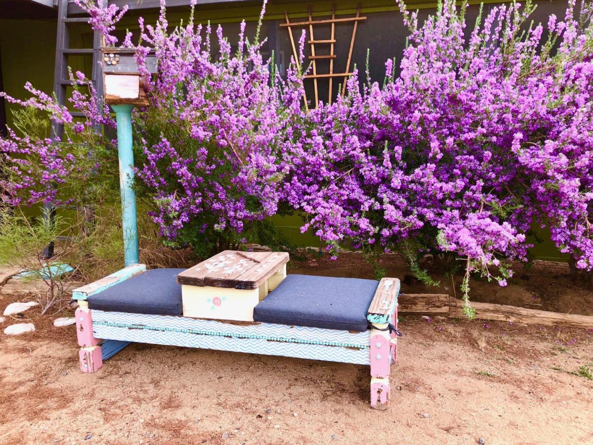 Popular Homestead! Location, Stargaze, Views! Joshua Tree Extérieur photo